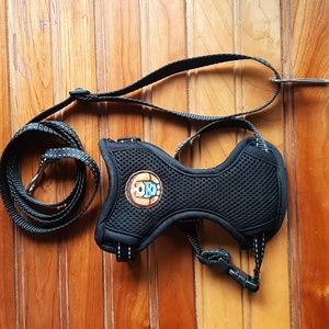 🆕 KITTEN HARNESS!